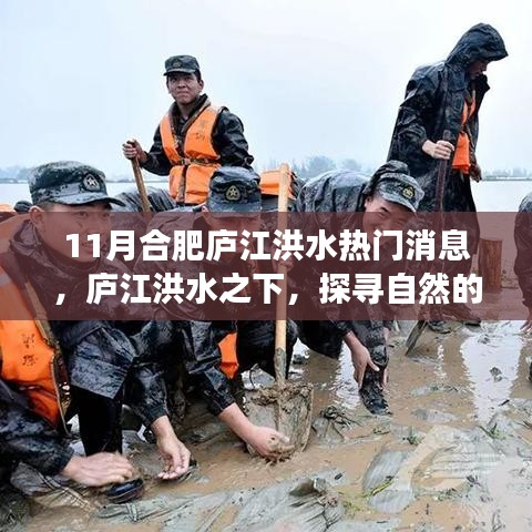 庐江洪水之下的自然探寻与内心宁静之旅