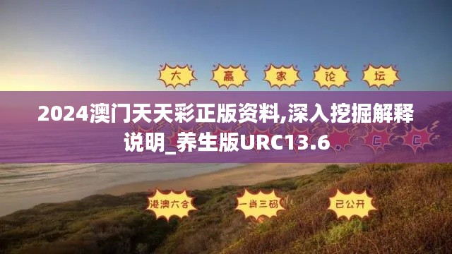 2024澳门天天彩正版资料,深入挖掘解释说明_养生版URC13.6