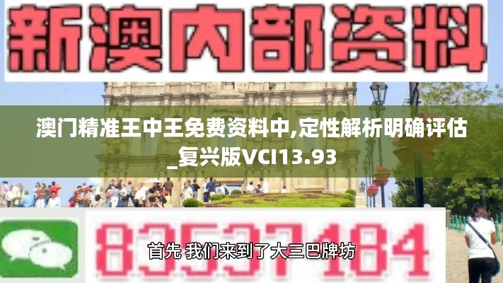 澳门精准王中王免费资料中,定性解析明确评估_复兴版VCI13.93