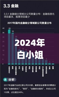 2024年白小姐开奖结果19期,数据导向程序解析_经典版RRQ13.70