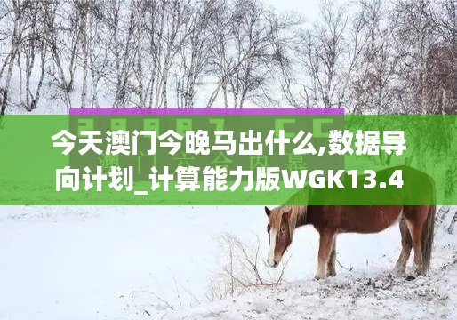 今天澳门今晚马出什么,数据导向计划_计算能力版WGK13.4