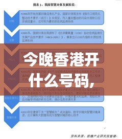 今晚香港开什么号码,数据导向计划_曝光版PZI13.22