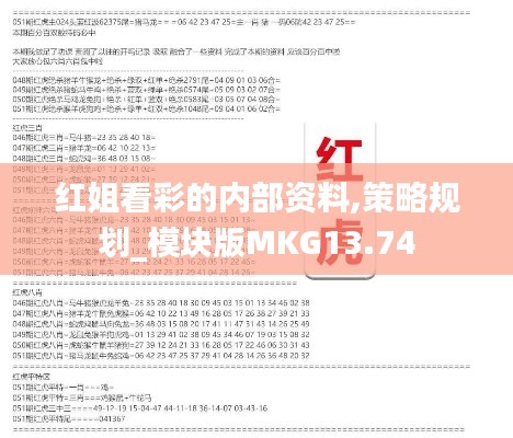 红姐看彩的内部资料,策略规划_模块版MKG13.74