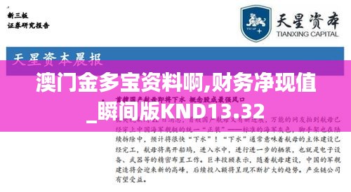 澳门金多宝资料啊,财务净现值_瞬间版KND13.32