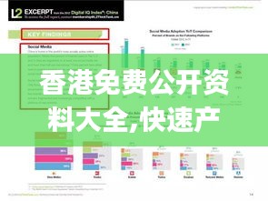 香港免费公开资料大全,快速产出解决方案_超级版PDI13.4