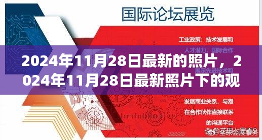 2024年11月28日最新照片观察与反思