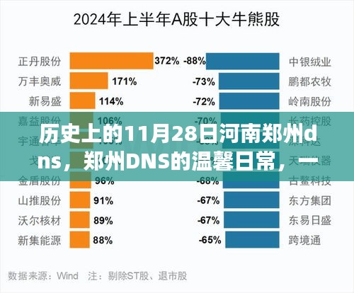 郑州DNS的温馨日常与意外网络奇遇，历史上的11月28日河南郑州dns回顾