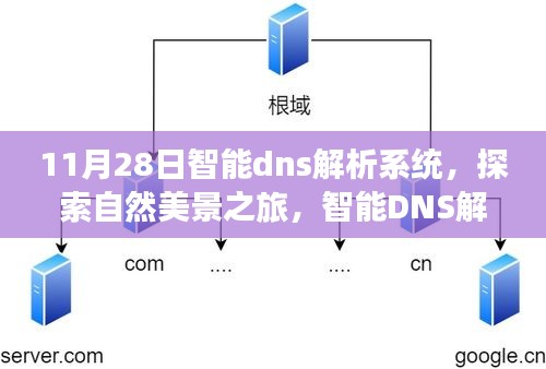 贵不可言 第3页