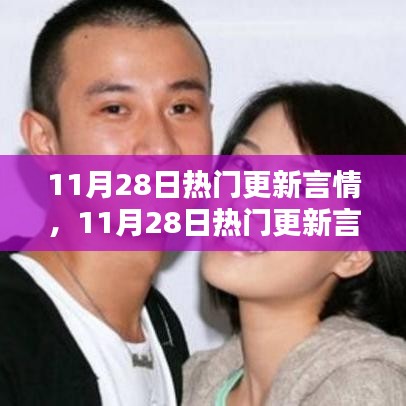 11月28日热门言情更新深度解析，当代言情文化新潮流探析