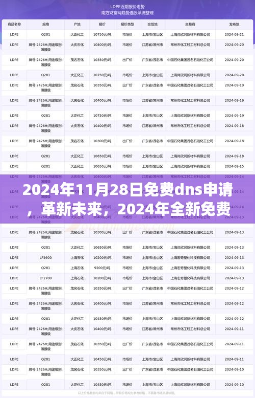 革新未来，2024年全新免费DNS申请服务体验，科技引领生活新纪元