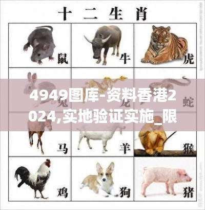 4949图库-资料香港2024,实地验证实施_限定版KSN64.106