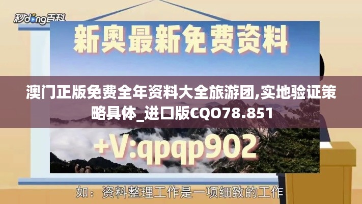 澳门正版免费全年资料大全旅游团,实地验证策略具体_进口版CQO78.851