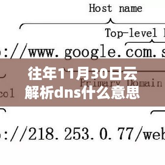 揭秘，往年11月30日云解析DNS背后的故事与意义及功能解析