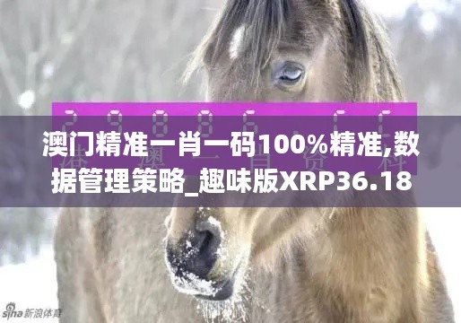 澳门精准一肖一码100%精准,数据管理策略_趣味版XRP36.183