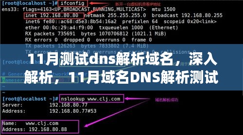 11月域名DNS解析深度测试详解，解析过程与结果分析