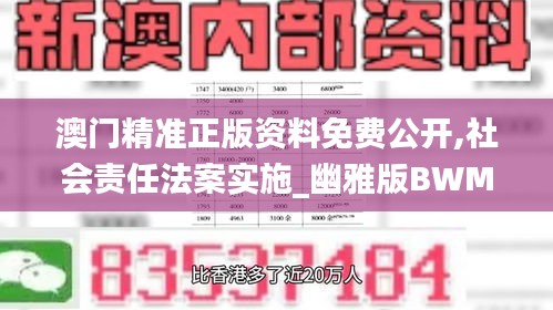 澳门精准正版资料免费公开,社会责任法案实施_幽雅版BWM25.151