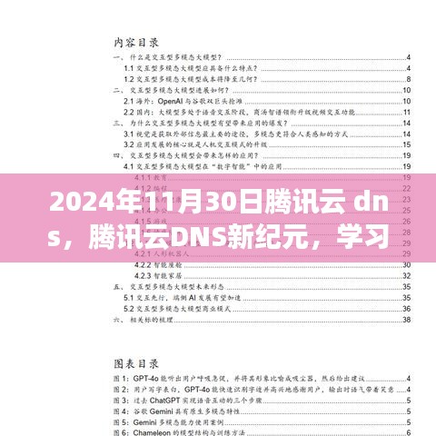 腾讯云DNS新纪元，学习变化的力量，自信迈向梦想之旅（2024年11月30日）