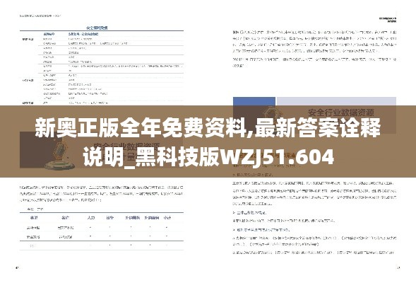 新奥正版全年免费资料,最新答案诠释说明_黑科技版WZJ51.604