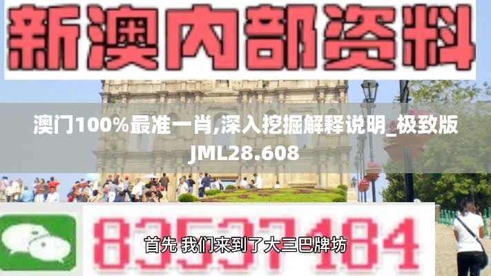 澳门100%最准一肖,深入挖掘解释说明_极致版JML28.608