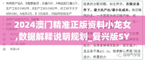 2024澳门精准正版资料小龙女,数据解释说明规划_复兴版SYY60.195