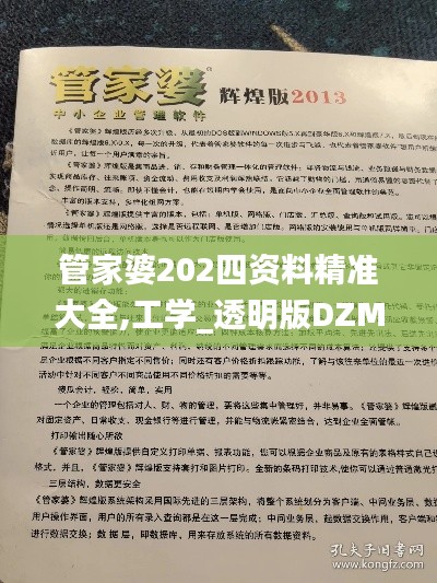 管家婆202四资料精准大全,工学_透明版DZM9.362