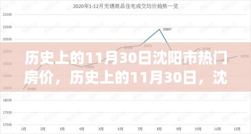 衣无二彩 第3页