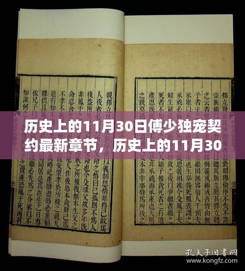 历史上的11月30日，傅少独宠契约的情感深度解读与最新章节概览