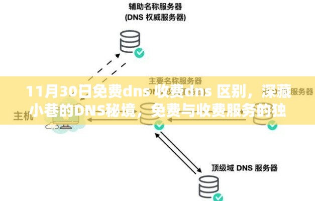 免费与收费DNS服务对比，探寻小巷中的DNS秘境的独特风情