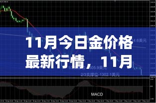 11月黄金价格最新行情及市场走势多元观点探析