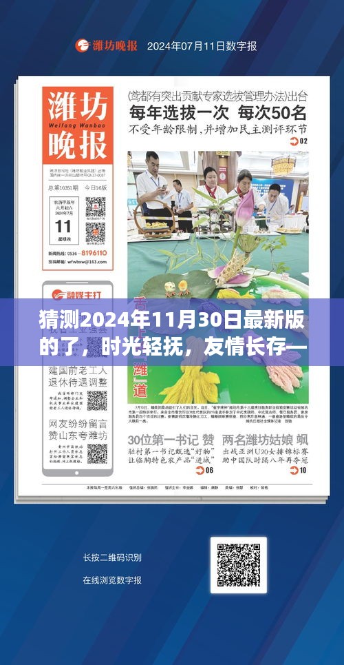 时光轻抚，温馨日常，未来友情长存记——2024年11月30日最新版展望