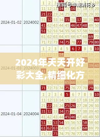 2024年天天开好彩大全,精细化方案决策_硬件版WZI25.504