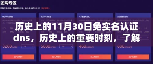 历史上的免实名认证DNS时刻详解，设置指南初学者与进阶用户适用