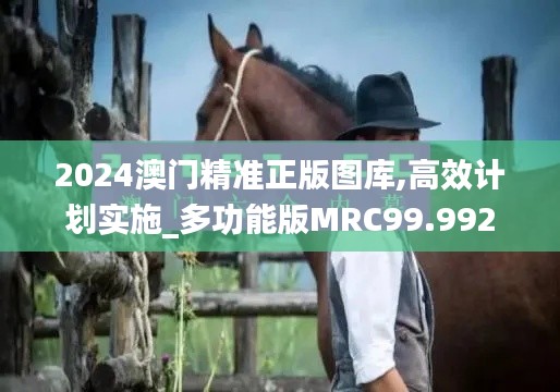 2024澳门精准正版图库,高效计划实施_多功能版MRC99.992