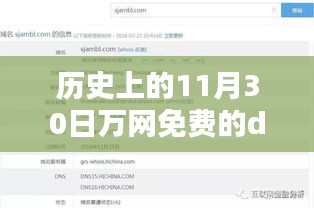 历史上的11月30日，万网免费DNS的利弊分析及其影响