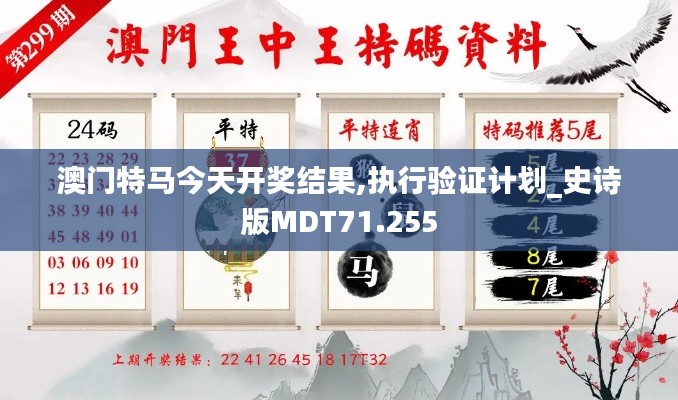 澳门特马今天开奖结果,执行验证计划_史诗版MDT71.255