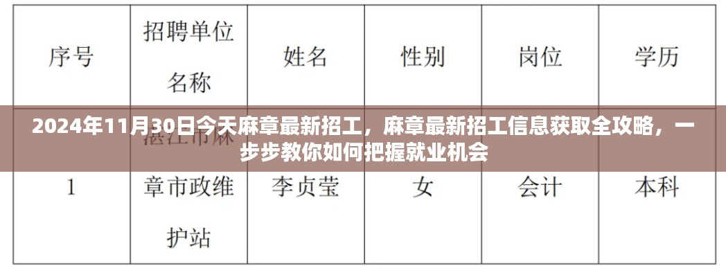 麻章最新招工信息全攻略，把握就业机会，2024年11月30日最新招工动态