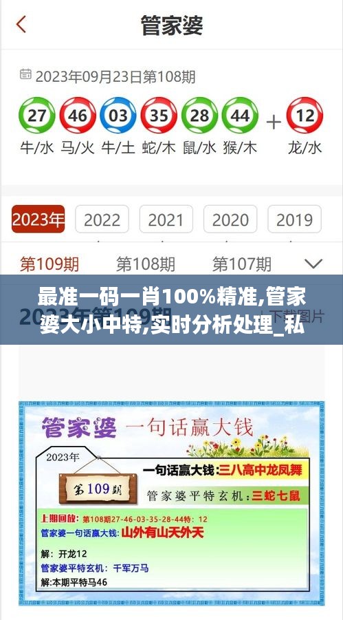 最准一码一肖100%精准,管家婆大小中特,实时分析处理_私人版JAB34.533