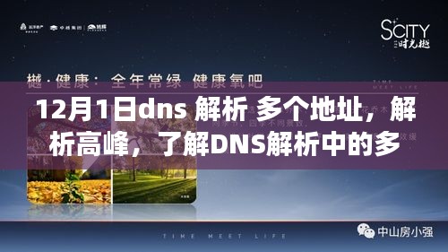 12月1日DNS解析高峰，探究多个地址现象揭秘