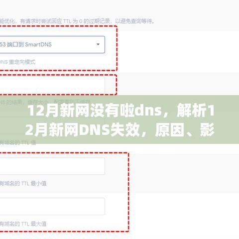 12月新网DNS失效，原因、影响及应对策略