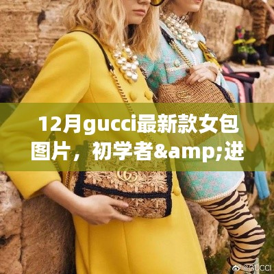 12月Gucci最新款女包选购指南，从初学者到进阶用户的图片详解与选购步骤