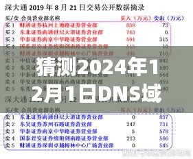 独家预测揭秘，揭秘未来之窗开启，2024年DNS域组成新篇章展望