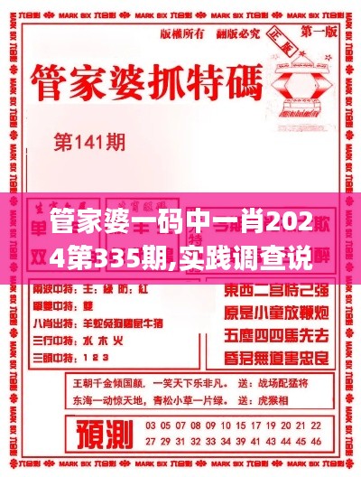 管家婆一码中一肖2024第335期,实践调查说明_XVY12.570闪电版