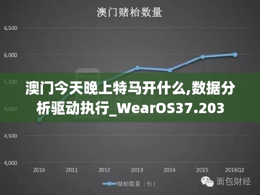 澳门今天晚上特马开什么,数据分析驱动执行_WearOS37.203