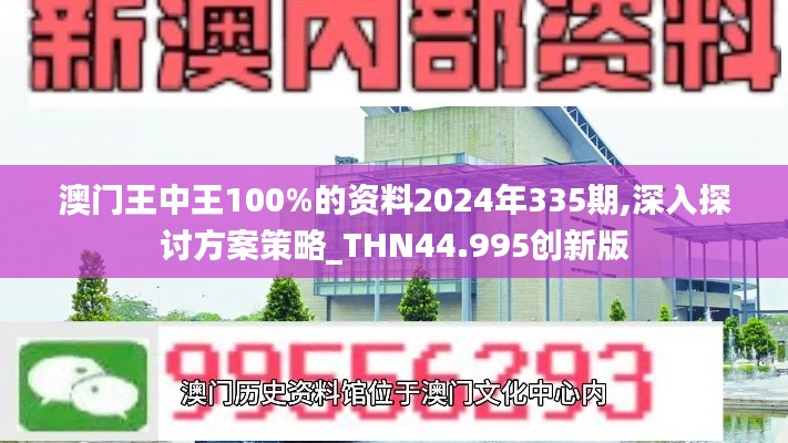 澳门王中王100%的资料2024年335期,深入探讨方案策略_THN44.995创新版