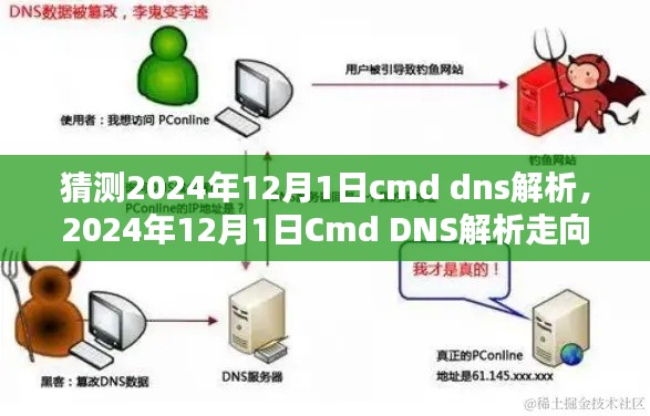 观点深度探讨，2024年Cmd DNS解析走向解析与观点阐述