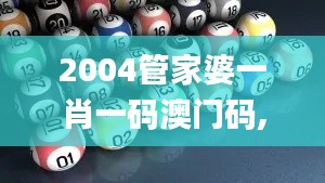 2004管家婆一肖一码澳门码,经典解释落实_3K50.469