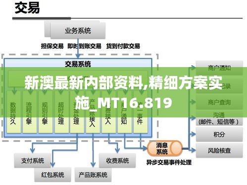 新澳最新内部资料,精细方案实施_MT16.819