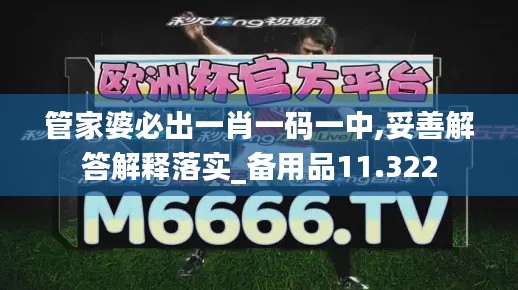 管家婆必出一肖一码一中,妥善解答解释落实_备用品11.322