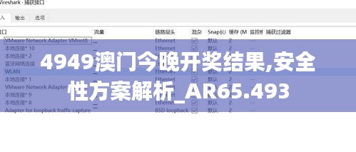 4949澳门今晚开奖结果,安全性方案解析_AR65.493