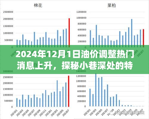 油价调整背后的故事，探秘特色小店与小巷深处的秘密 2024年油价调整最新消息热议